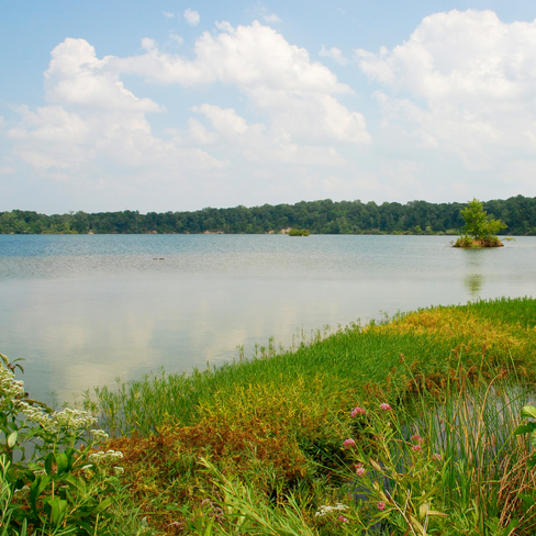 Eagle creek west side
